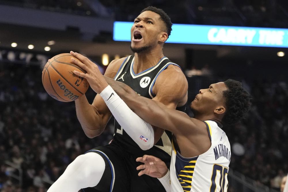 诺克界的地 诺克界的地